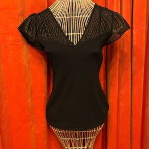 Express Black V-Neck Blouse with Sheer Sleeves